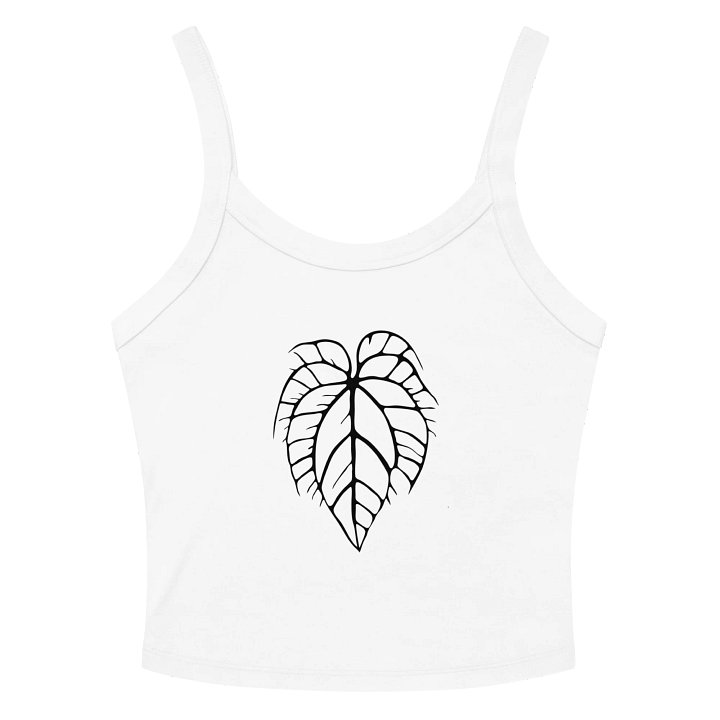 ANTHURIUM CRYSTALLINUM SKELETON - Mid-Length Tank product image (14)