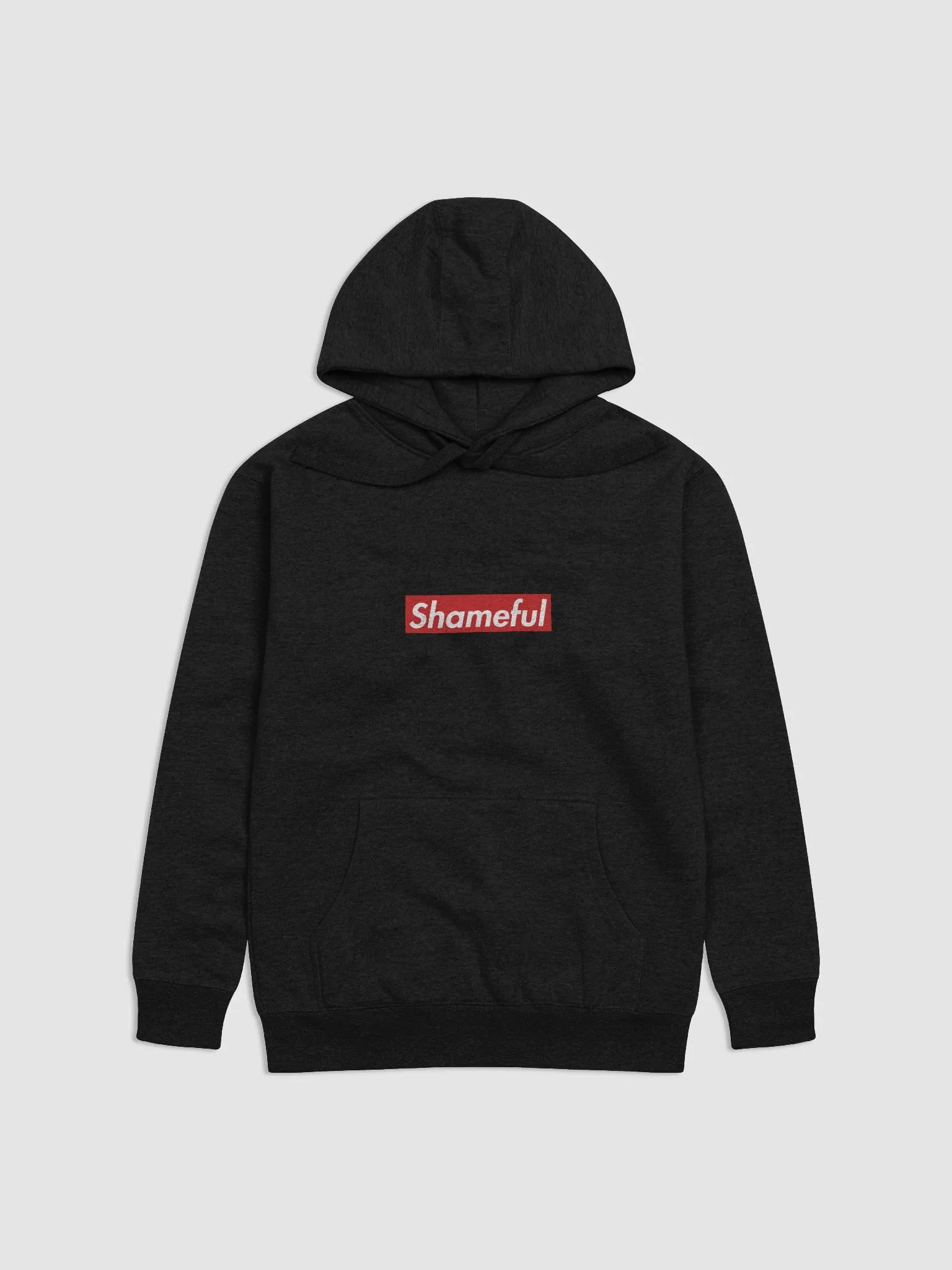 Shameful Hoodie product image (1)