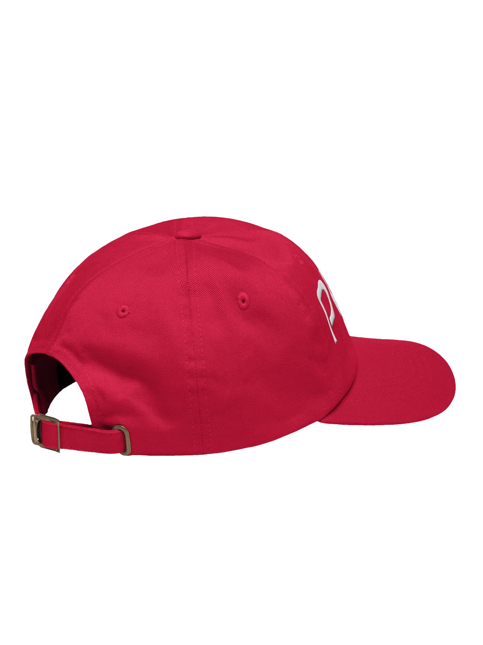 Pibry Signature Dad Hat product image (28)