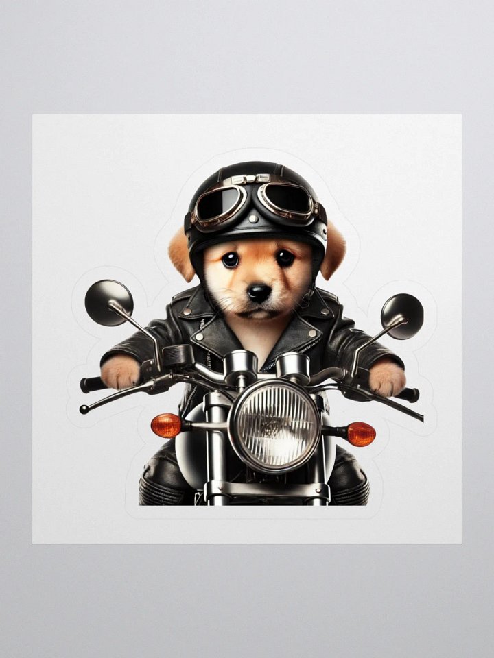 Born to ride… and fetch! product image (1)