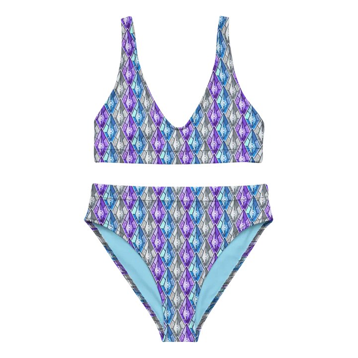 Snowshard Bikini product image (2)