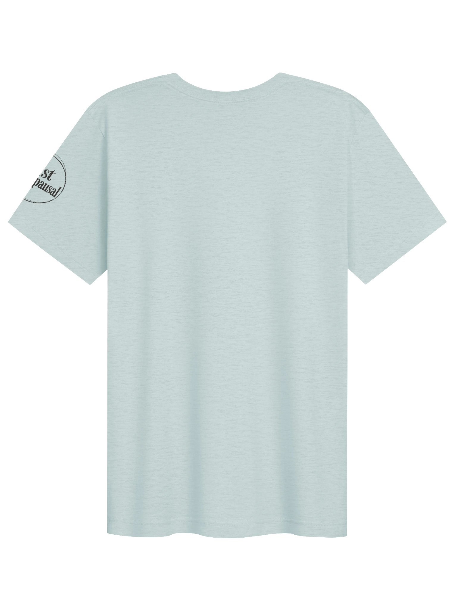 Hot Flash Springs Tee product image (3)