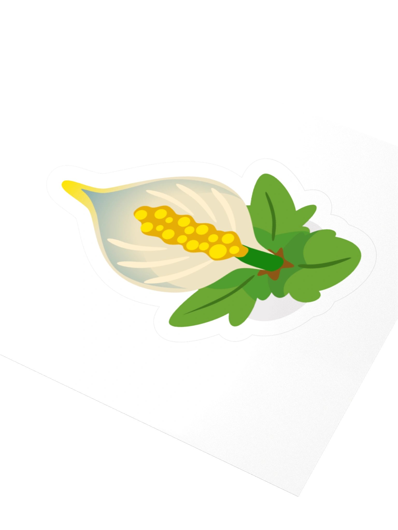 Lily product image (3)