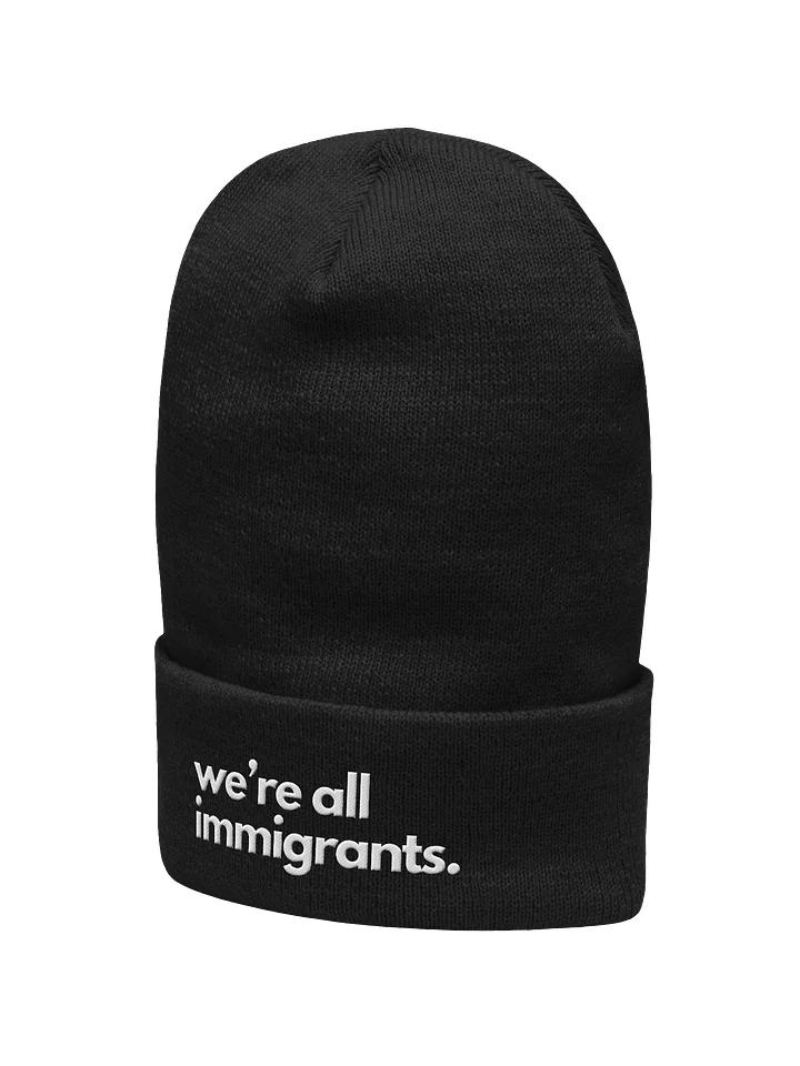 We're All Immigrants beanie product image (11)