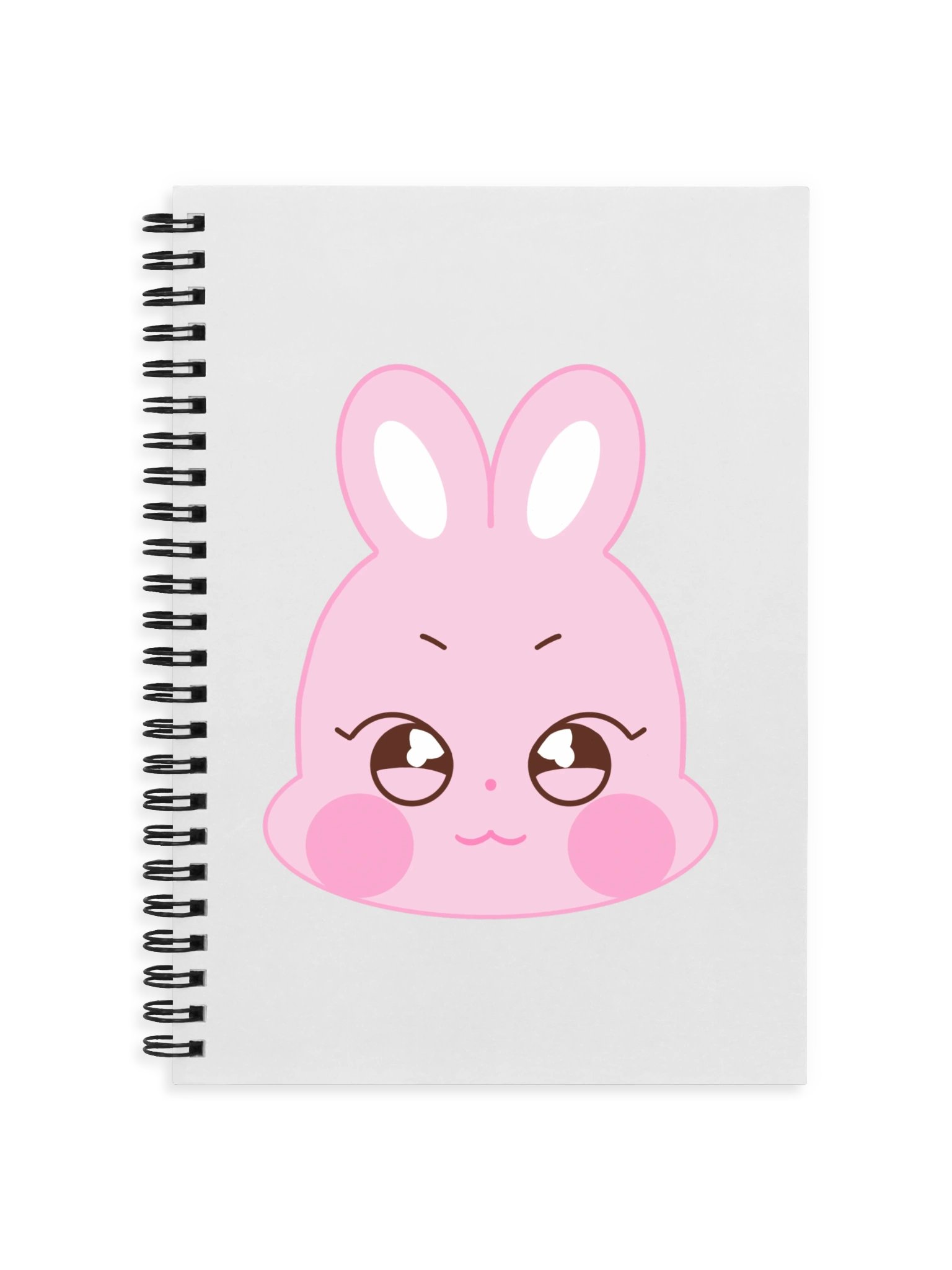 Ddeongbyeoli graphed notebook product image (1)