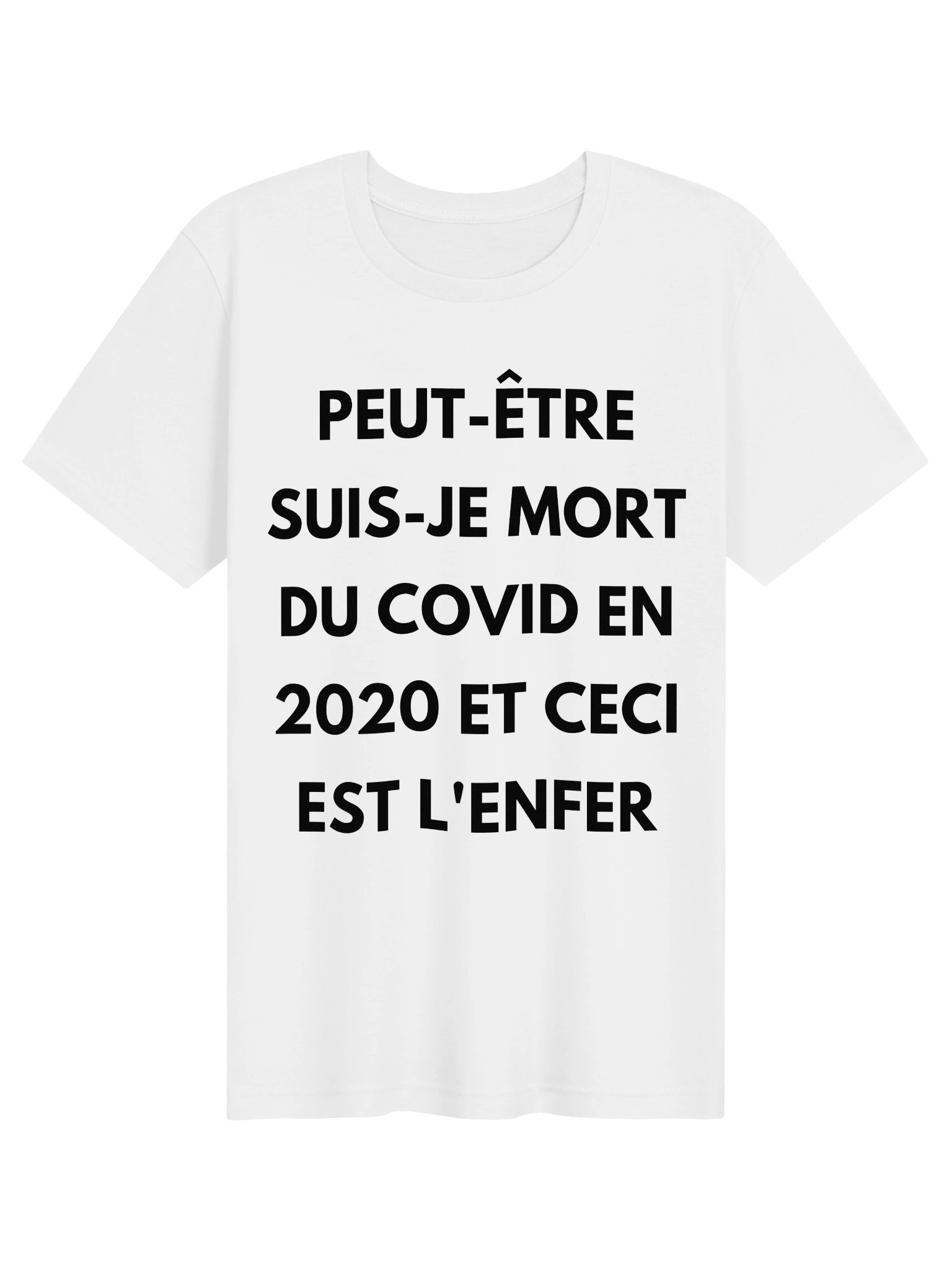 PEUT ETRE QUE JE SUIS MORT DU COVID EN 2020 ET CECI ET L'ENFER product image (1)