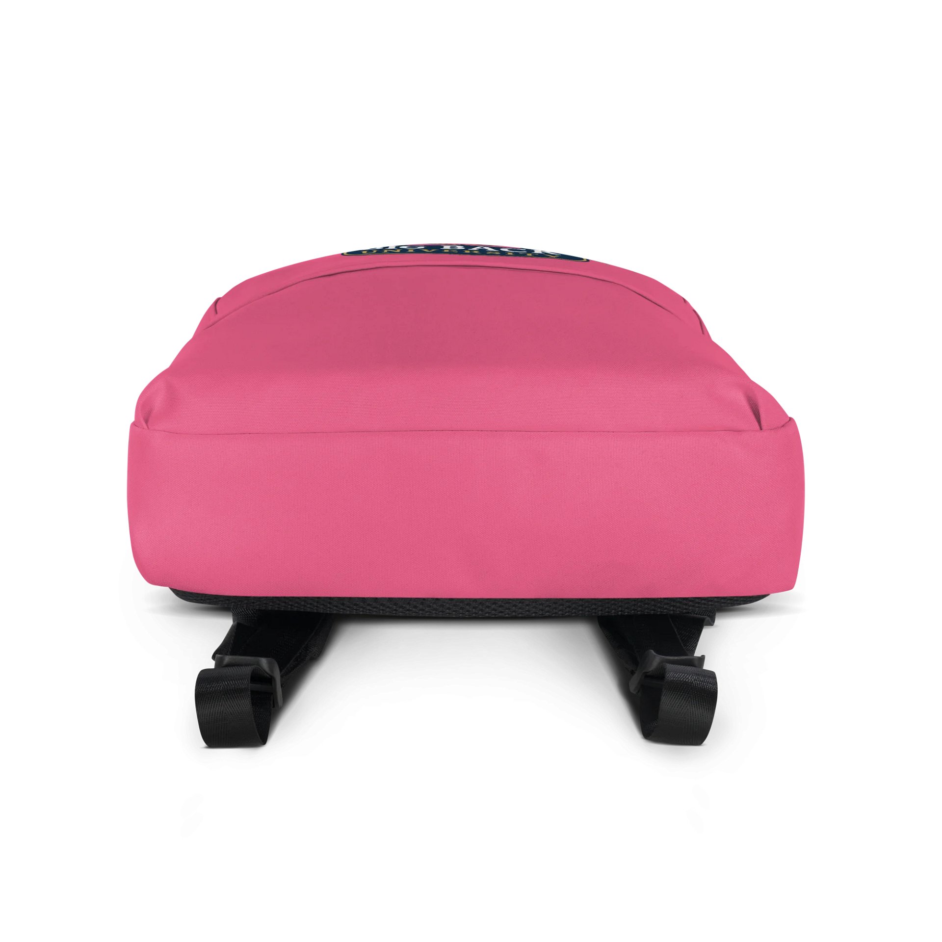 BBU Backpack - Pink product image (4)