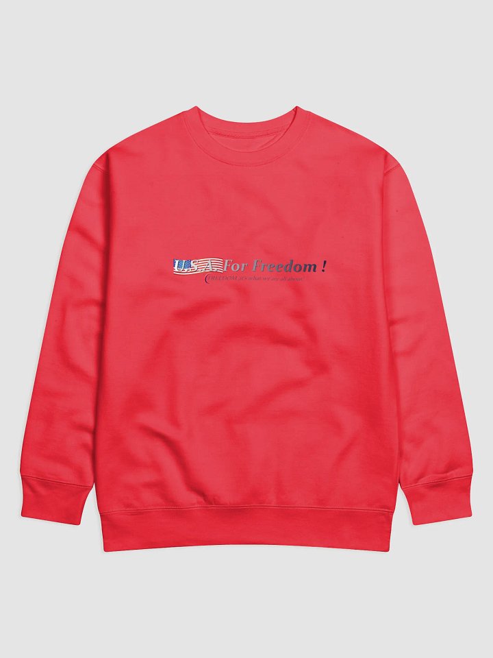 USA 4 FREEDOM/2ND AMMEND SHIRT product image (1)