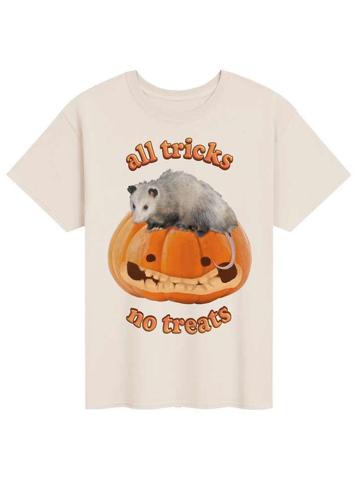All Tricks No Treats - Autumn Pumpkin Possum T-shirt product image (1)
