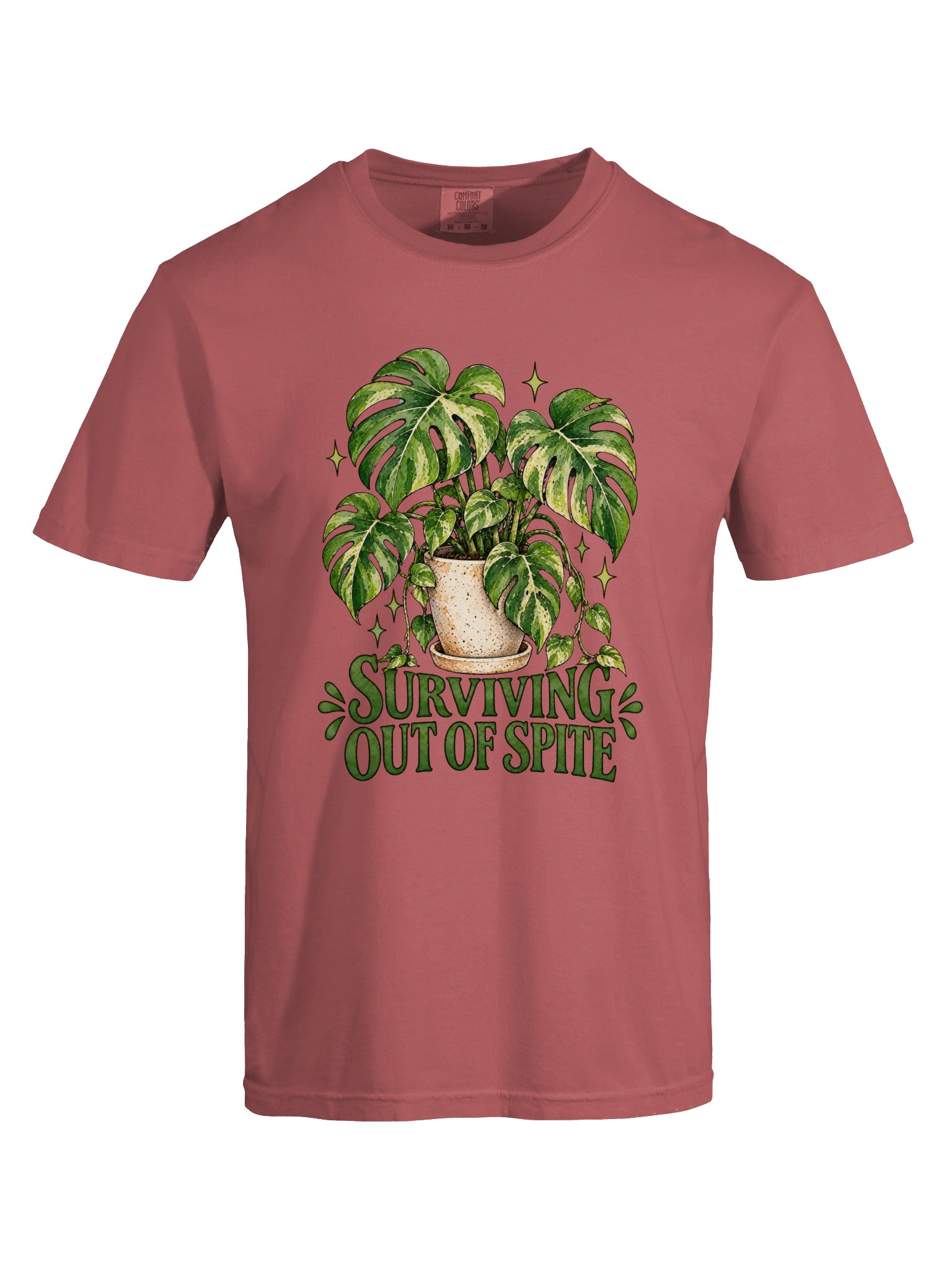 Surviving Monstera product image (5)