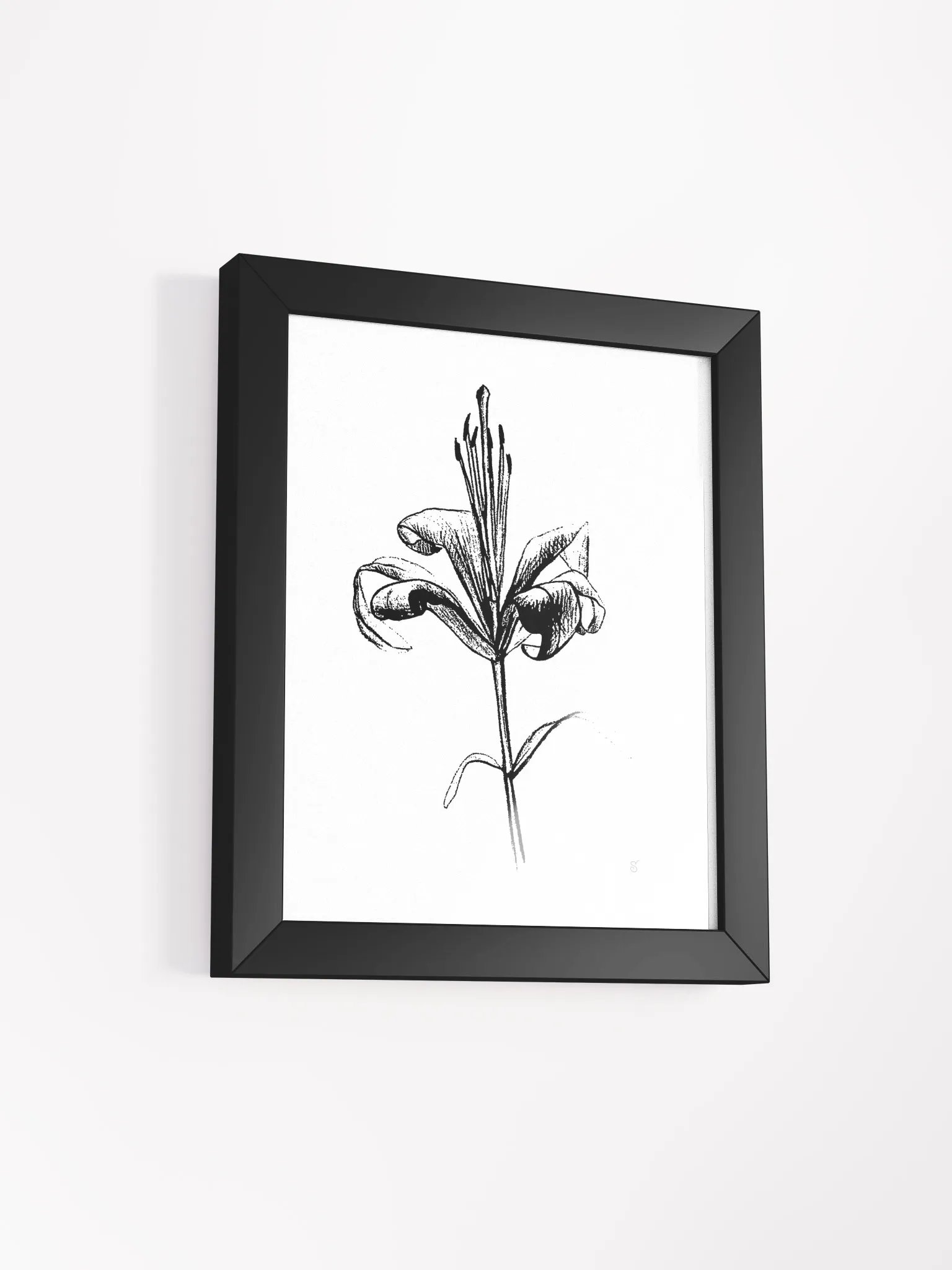Elegant Lily Bloom Framed Poster - Fine Flower Light product image (12)