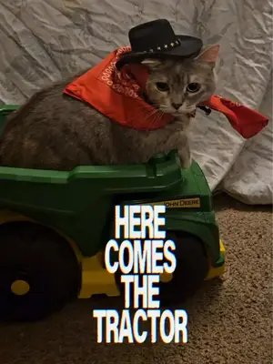 @Brainsludge - Here comes the tractor! Watch the full official video on YouTube!  #catsandmetal #brainsludge 
