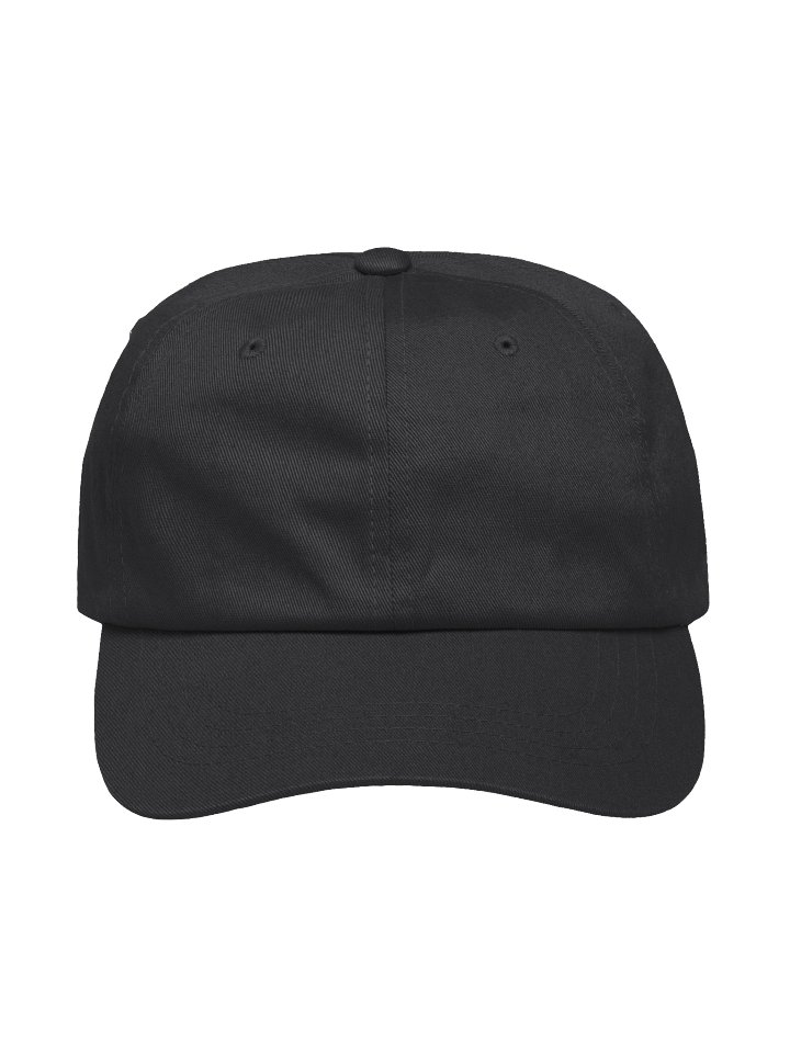 Decoding_Labs Hat Back Side product image (1)