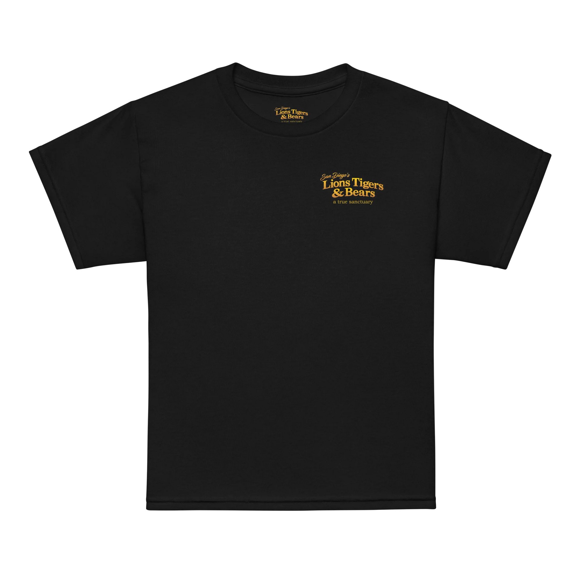 LTB Legacy Logo Youth Tee product image (5)