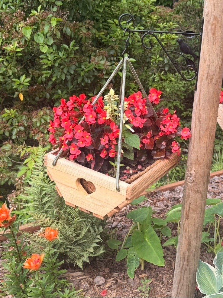 Handcrafted Cedar Hanging Planter Basket | 14″ Wood Planter with Coco Liner & Rope Hanger product image (1)