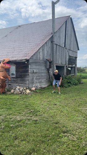DinoRAWR! #dino #fyp #funny #canada #viral