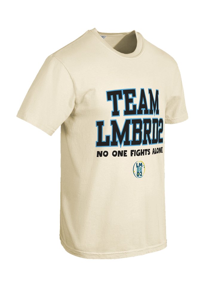 LMBRD2 Comfort T-Shirt -TEAM product image (42)