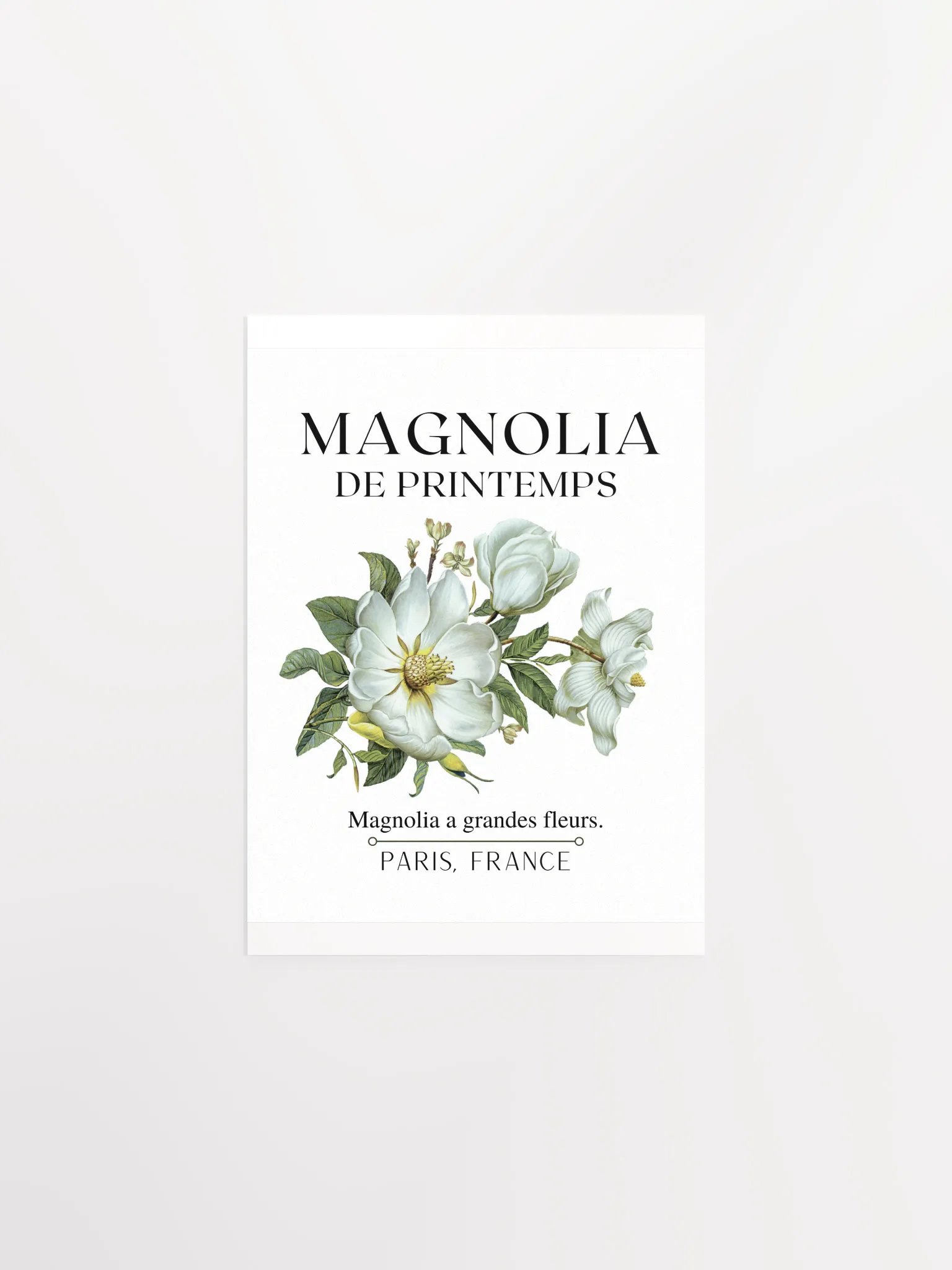 FLORAL PRINT- MAGNOLIA product image (6)