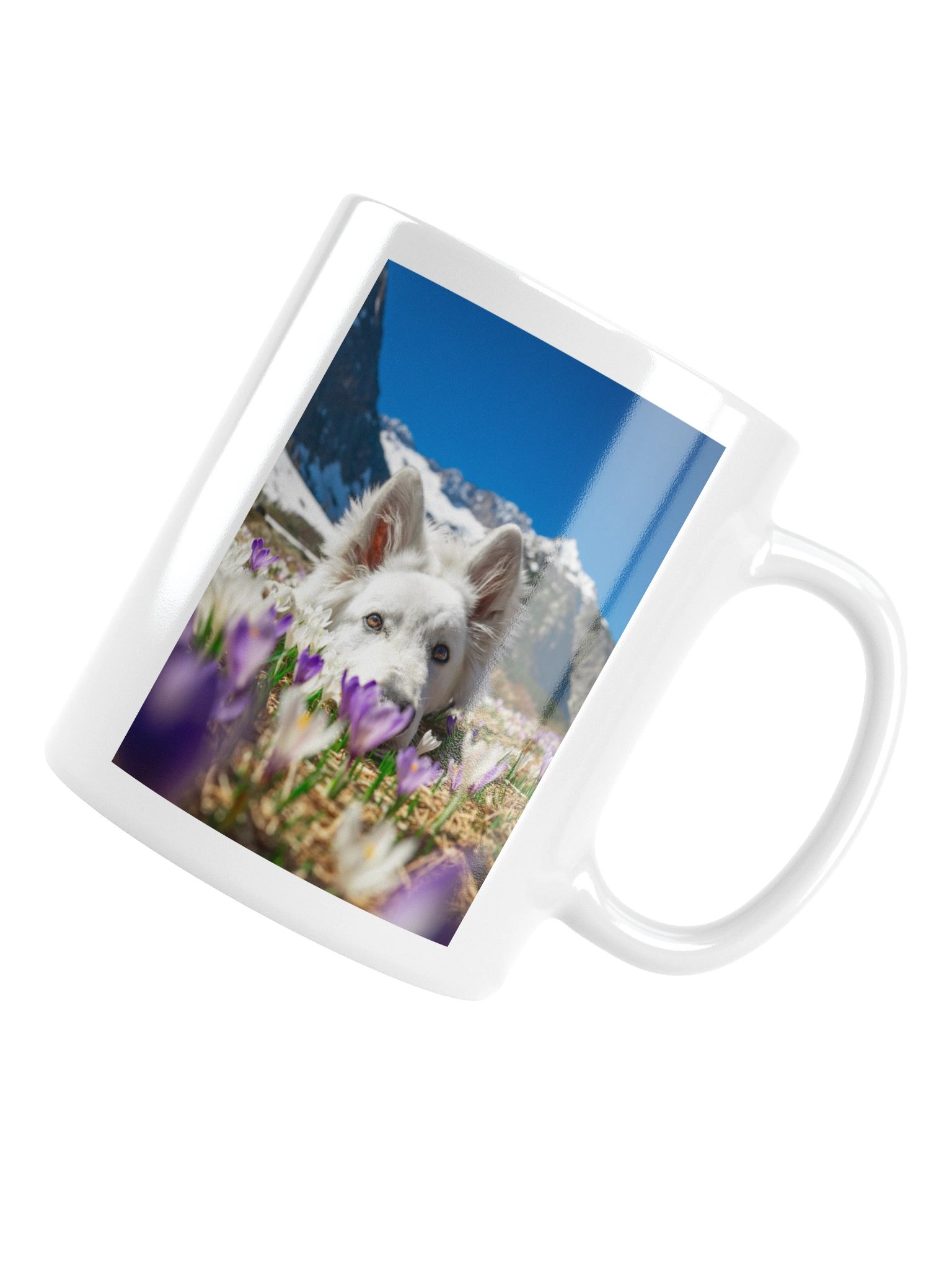 Lil Rasta in the crocus field product image (17)
