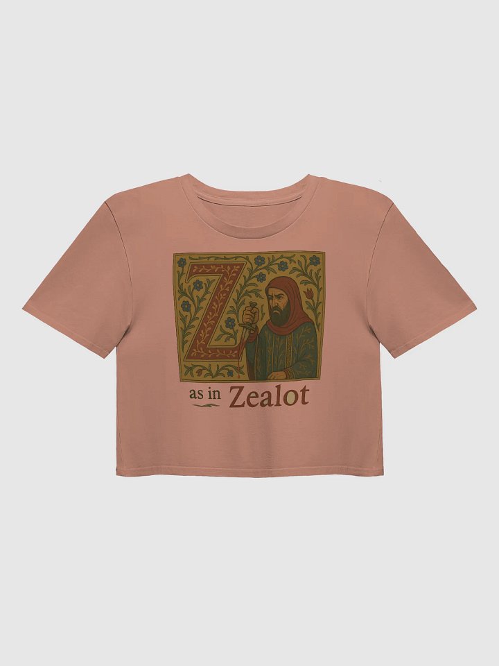 Z as in zealot croptop product image (1)