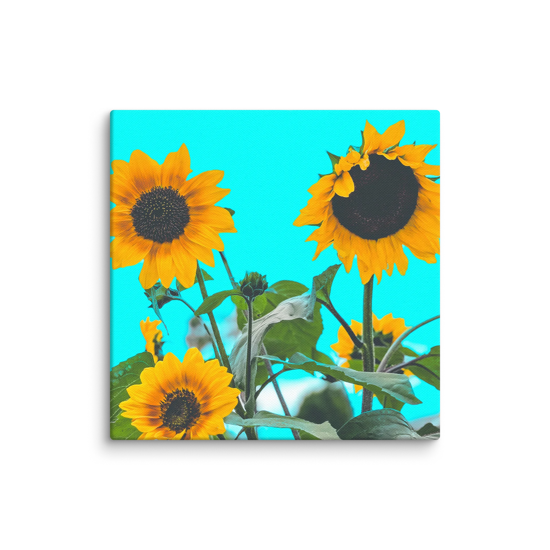 Sunflower Canvas product image (1)