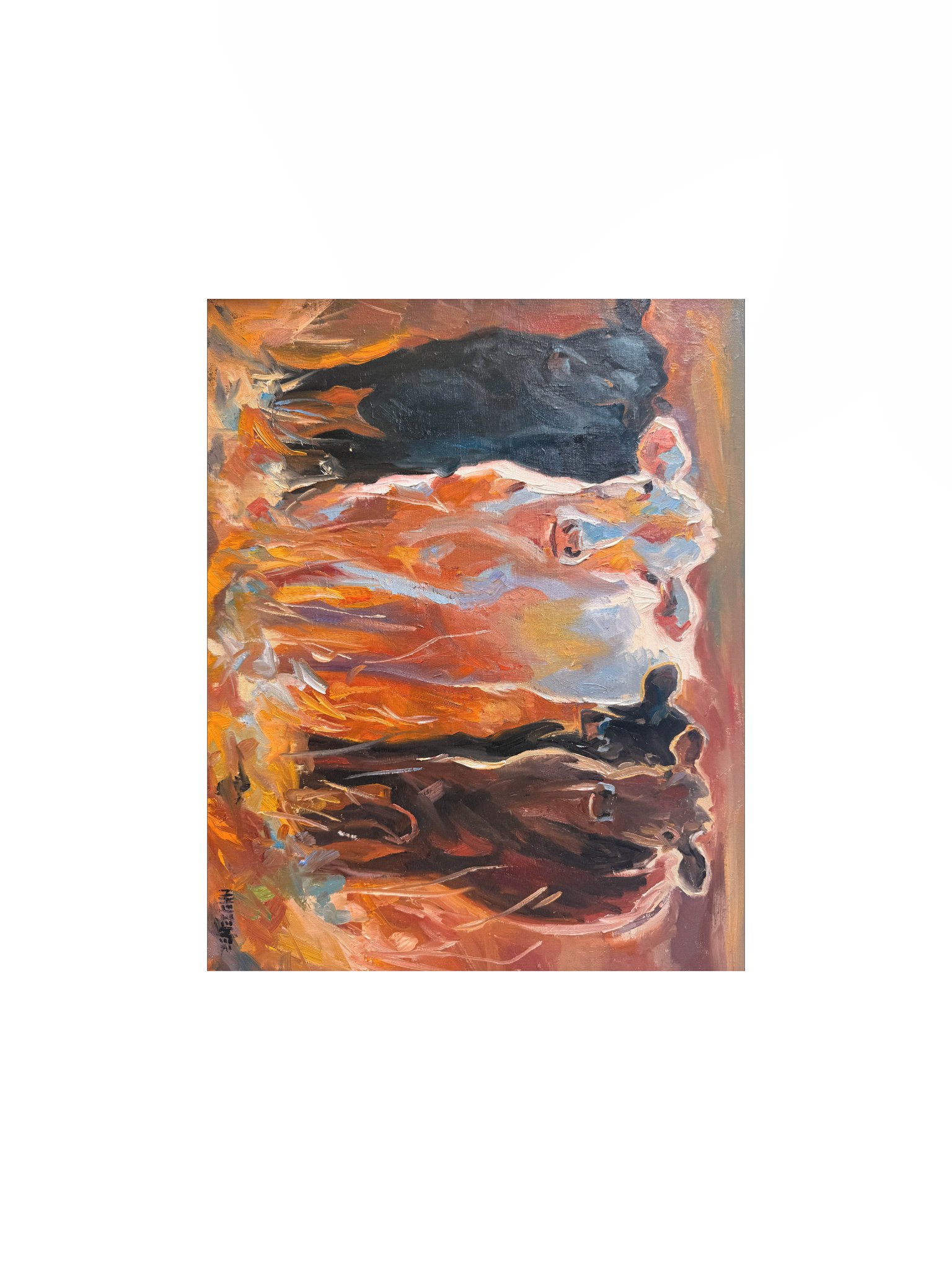 Heifers in Pasture Print product image (1)