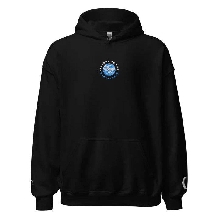 Embroidered "SabaSphere" Hoodie product image (1)