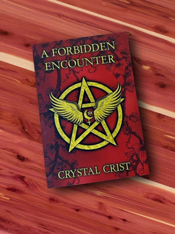 A Forbidden Encounter product image (4)