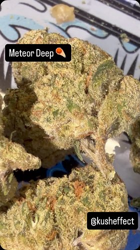 Meteor Deep 🌲☄️ 7.2/10 by @kusheffect #explorepage✨ #trendingnow #bhoboyz #upncoming #fyp