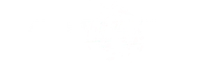 Above The Influence Show