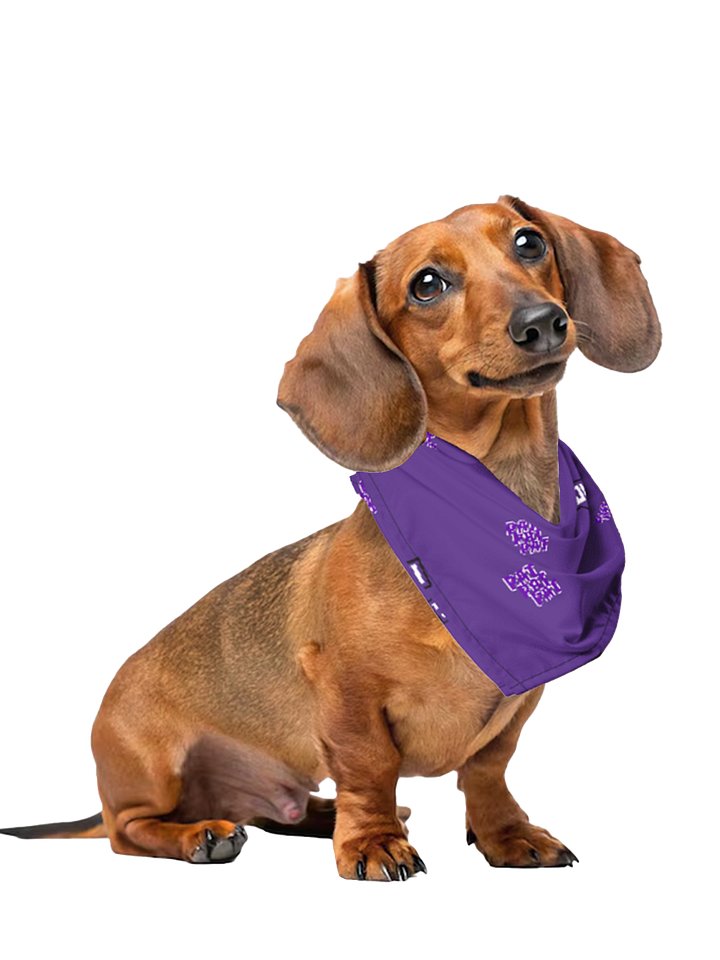 PatPatPat Pet Bandana product image (1)