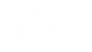 digital rockstar
