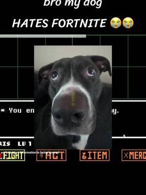 My dog vs Tim Sweeney… who yall got #fortnite #utdr #undertale #epic #epicgames 
