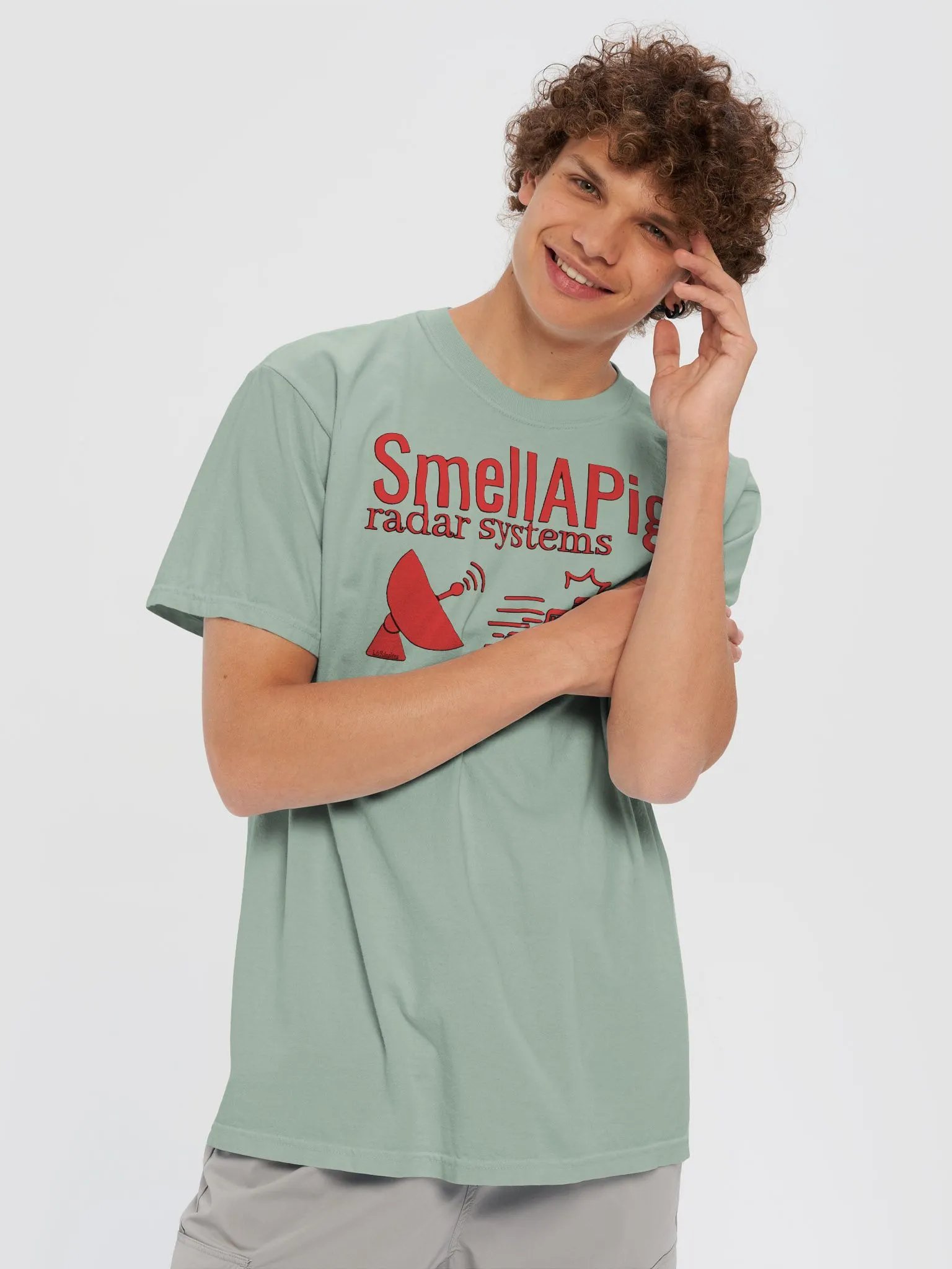 SMELLAPIG RADAR SYSTEMS product image (57)