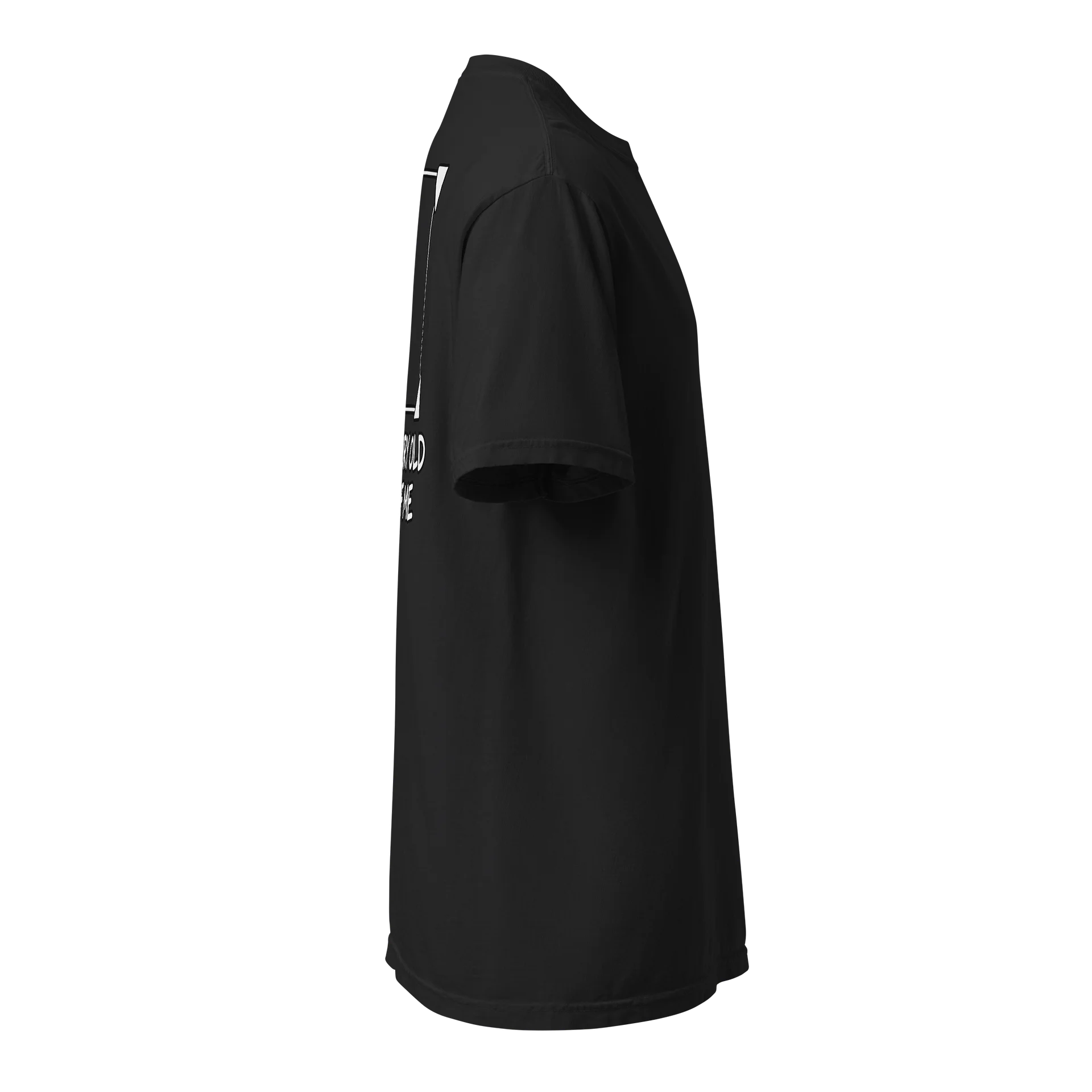 This Is a Very Old Picture of Me product image (10)