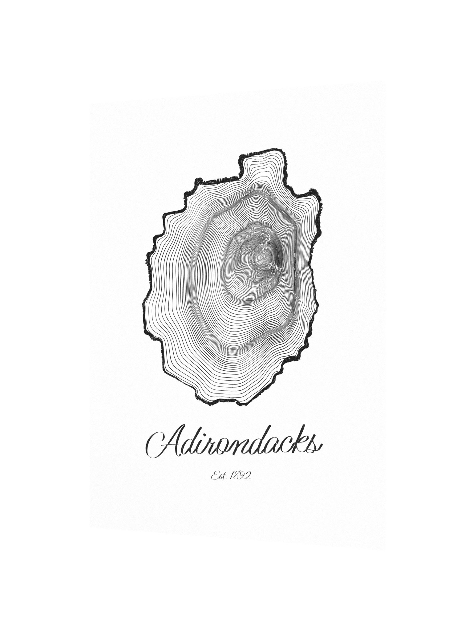 Adirondack Park Tree Ring Poster product image (2)
