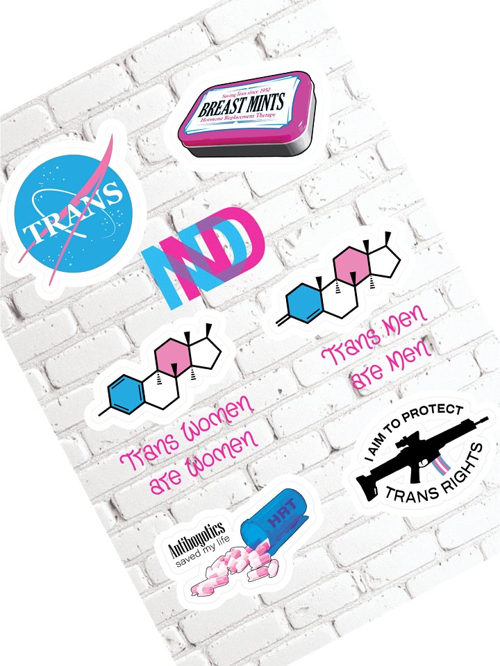 Trans Sticker Sheet product image (1)