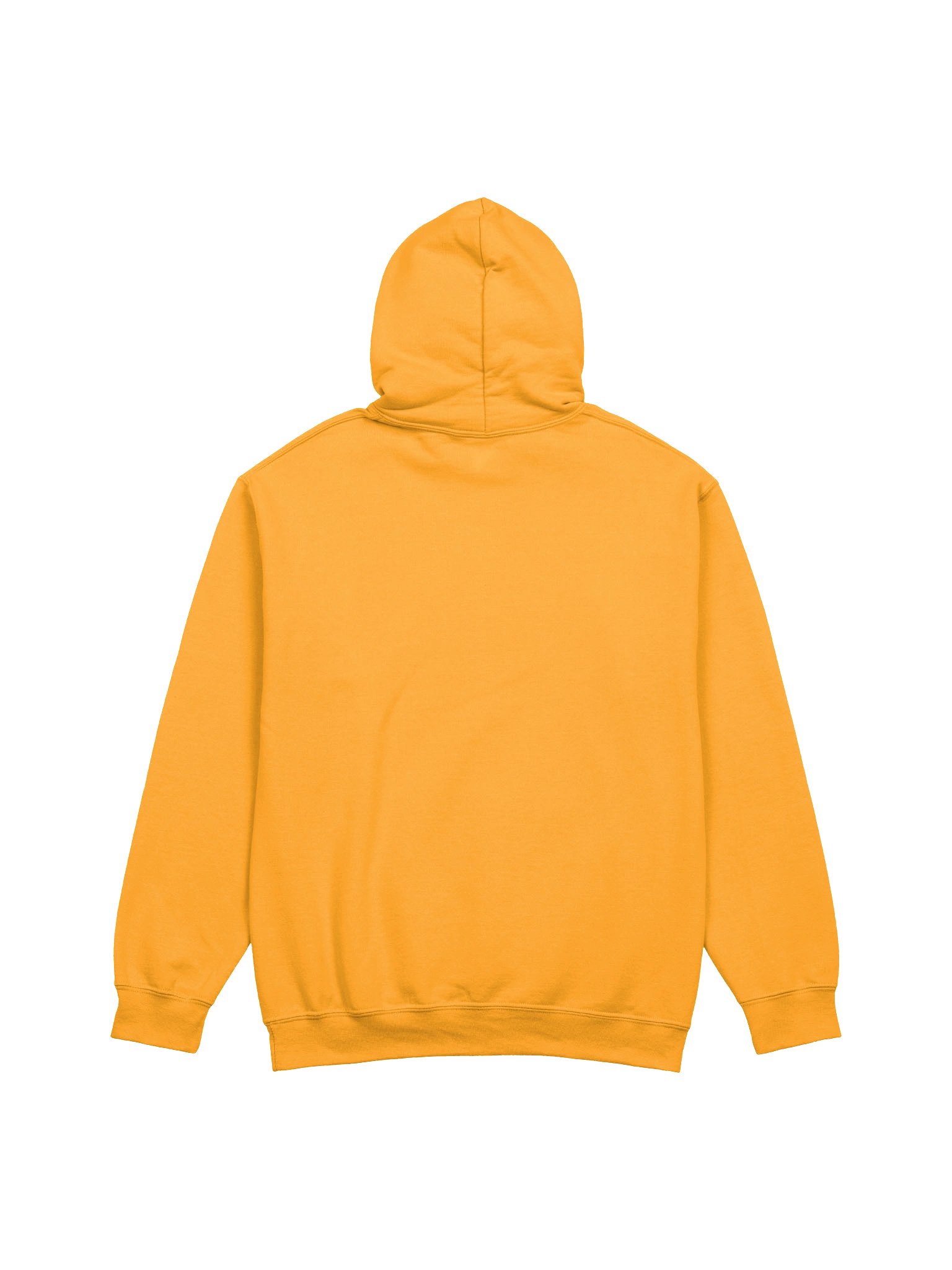 RAPTOR 2026 (I SURVIVED) - HOODIE product image (6)