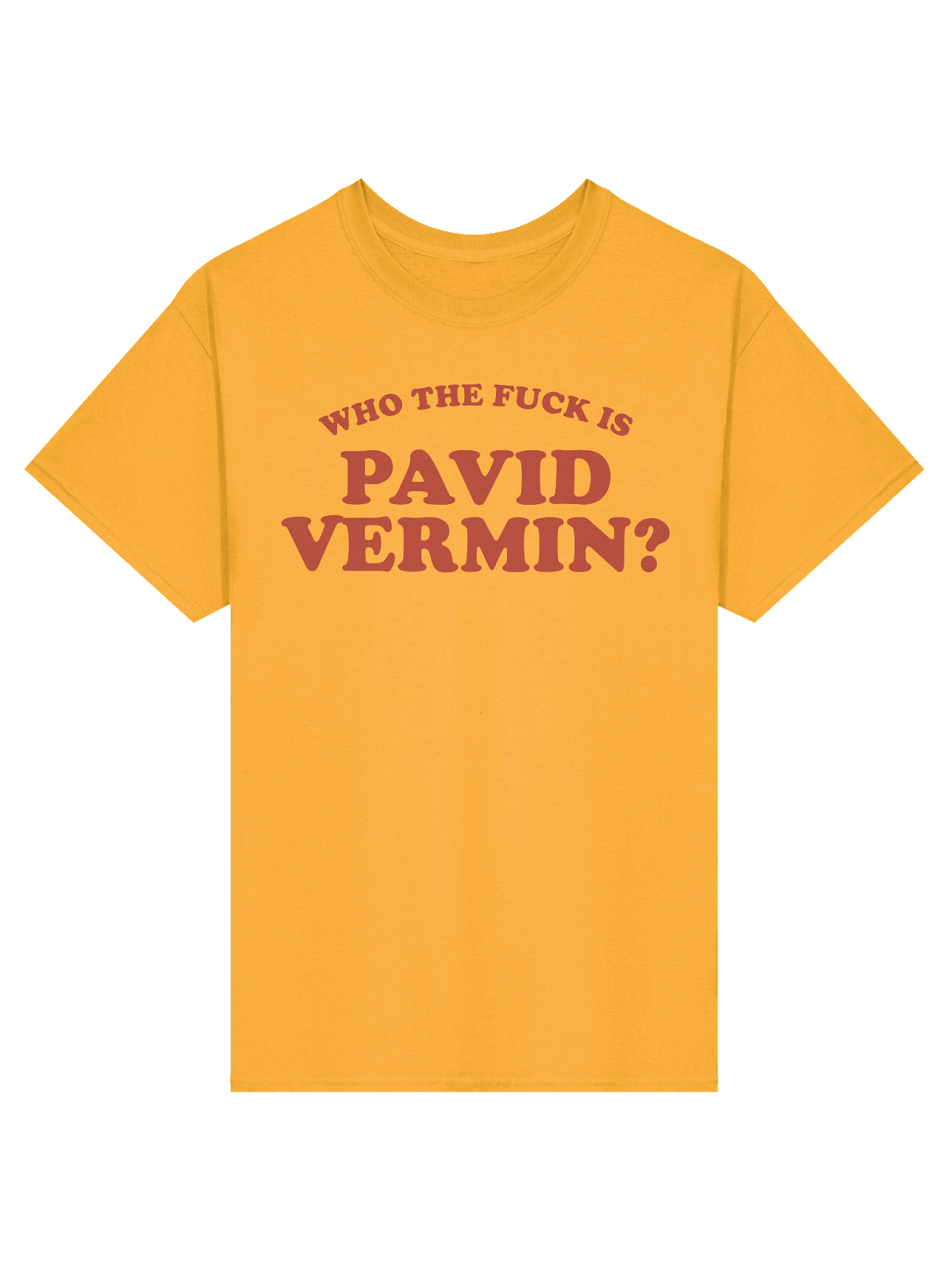 Pavid Who The Fuck Is Pavid Vermin? | obscurestvinyl