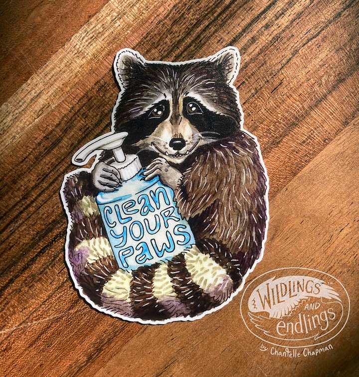 'Clean Your Paws' Raccoon - art decal product image (1)