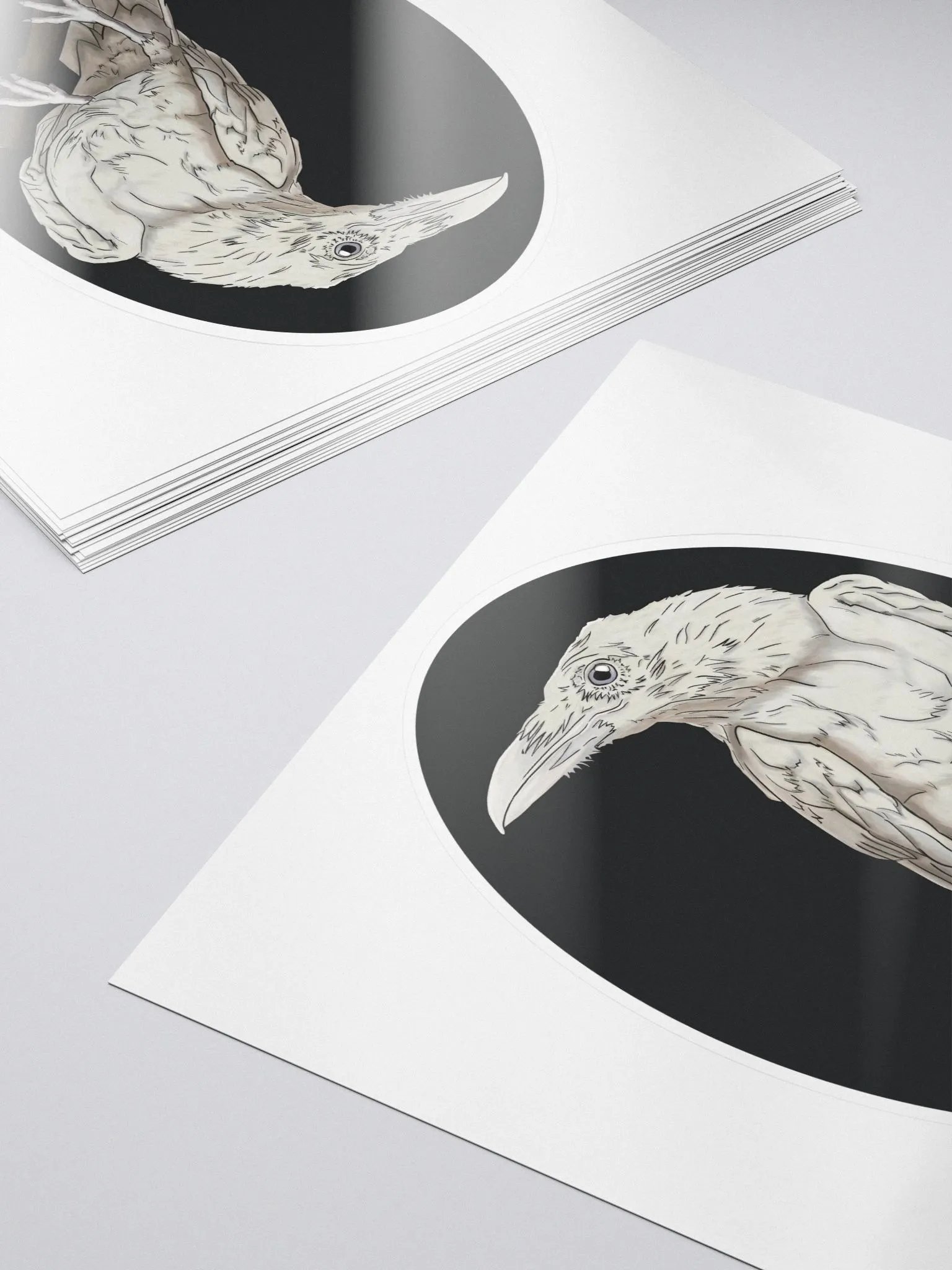 Leucistic Raven Sticker product image (5)