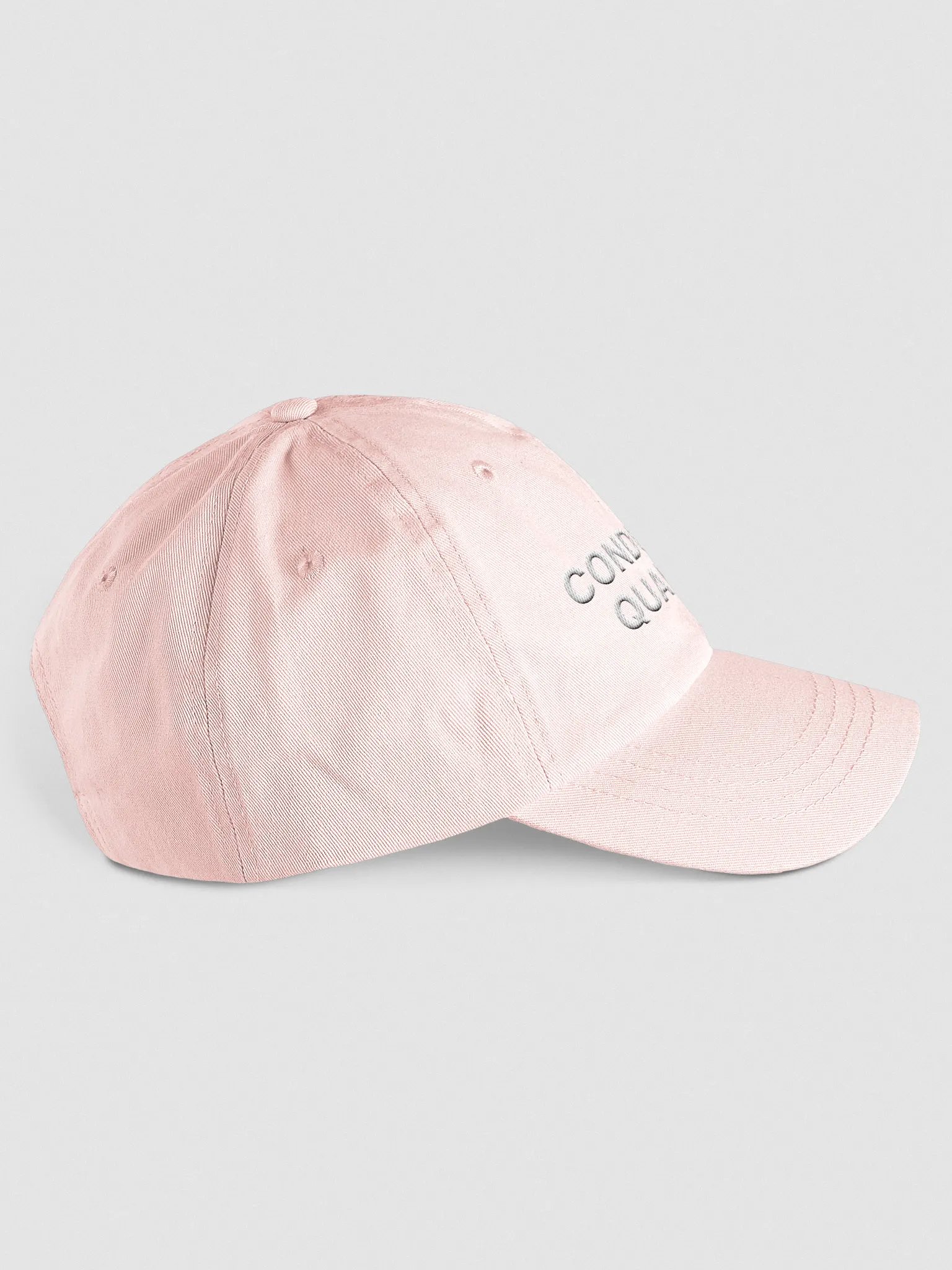 CHIEF CAP PINK product image (4)