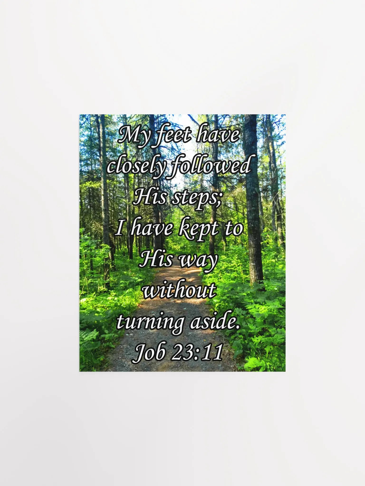 Followed His Steps - Print product image (1)