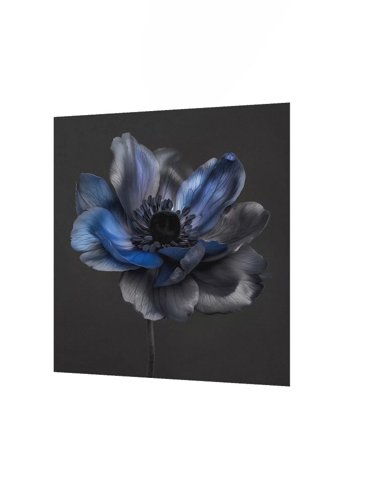 Solitary Form | Nocturne Anemone I - Fine Art Print product image (2)