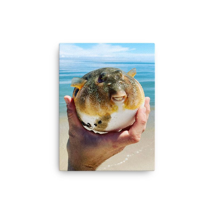 Northern Puffer product image (13)