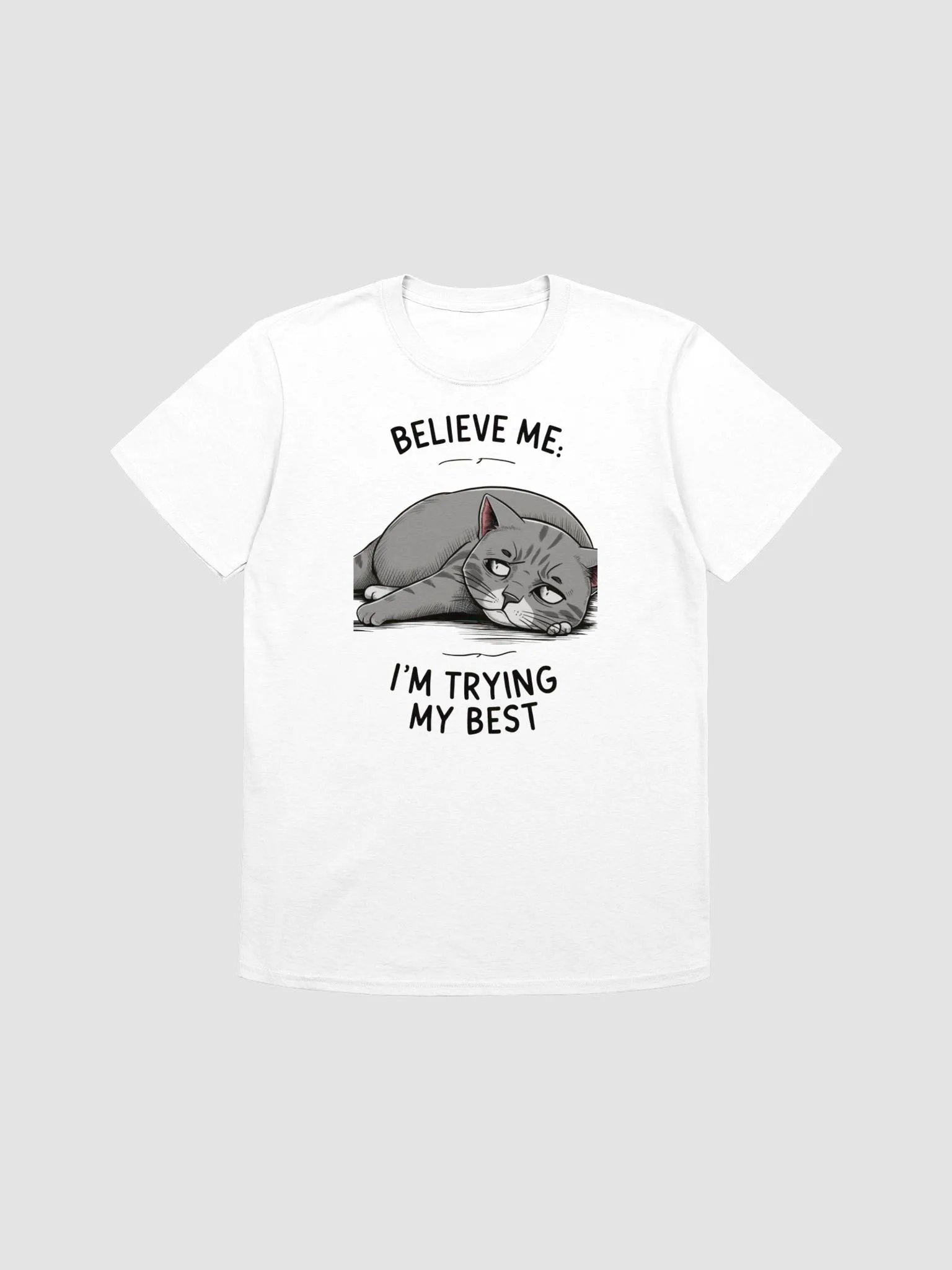 Believe Me, I Am Trying My Best product image (1)