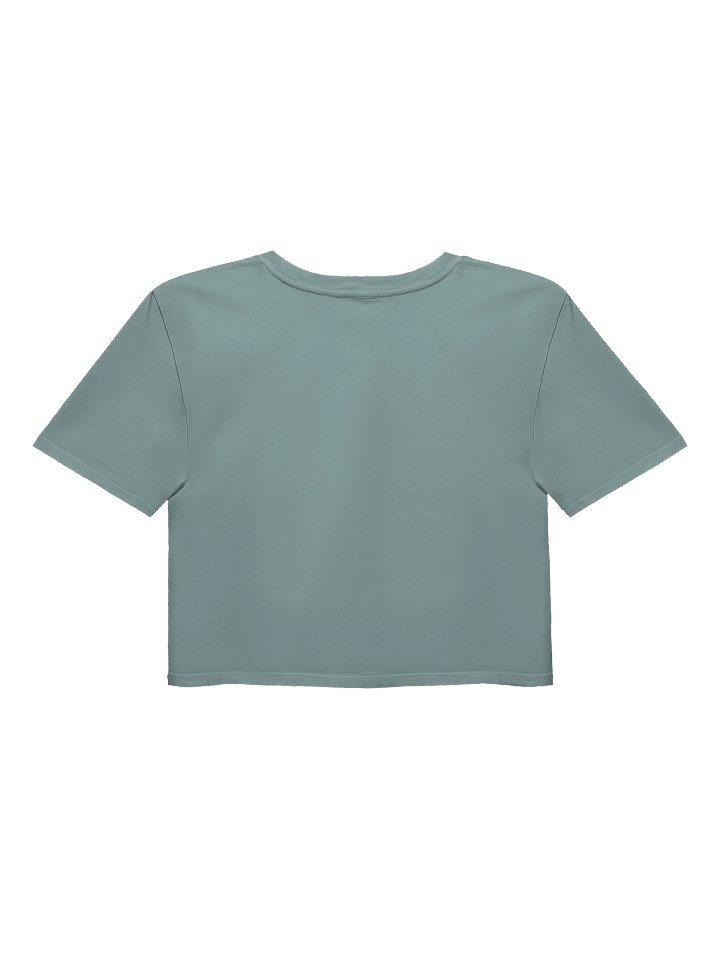 Casting Ratio Crop Tee! product image (18)