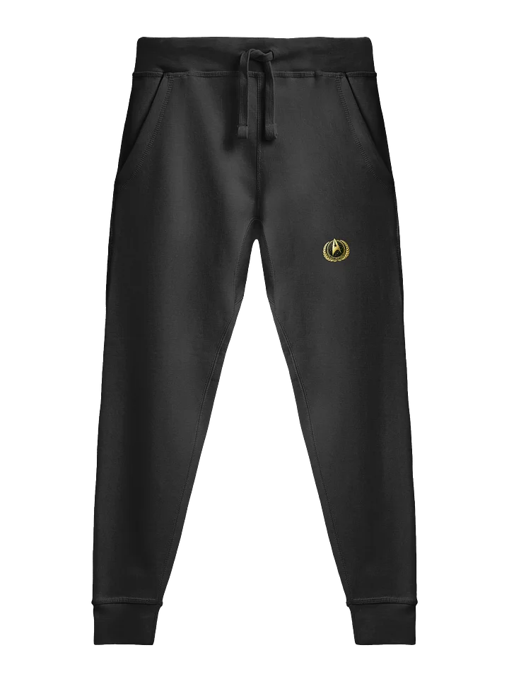 STFC Briefings Gold Gym Joggers product image (1)