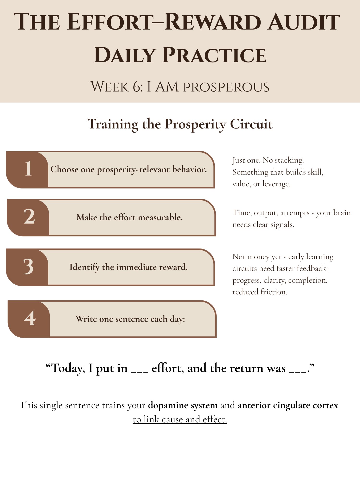 Effort-Reward Audit product image (1)