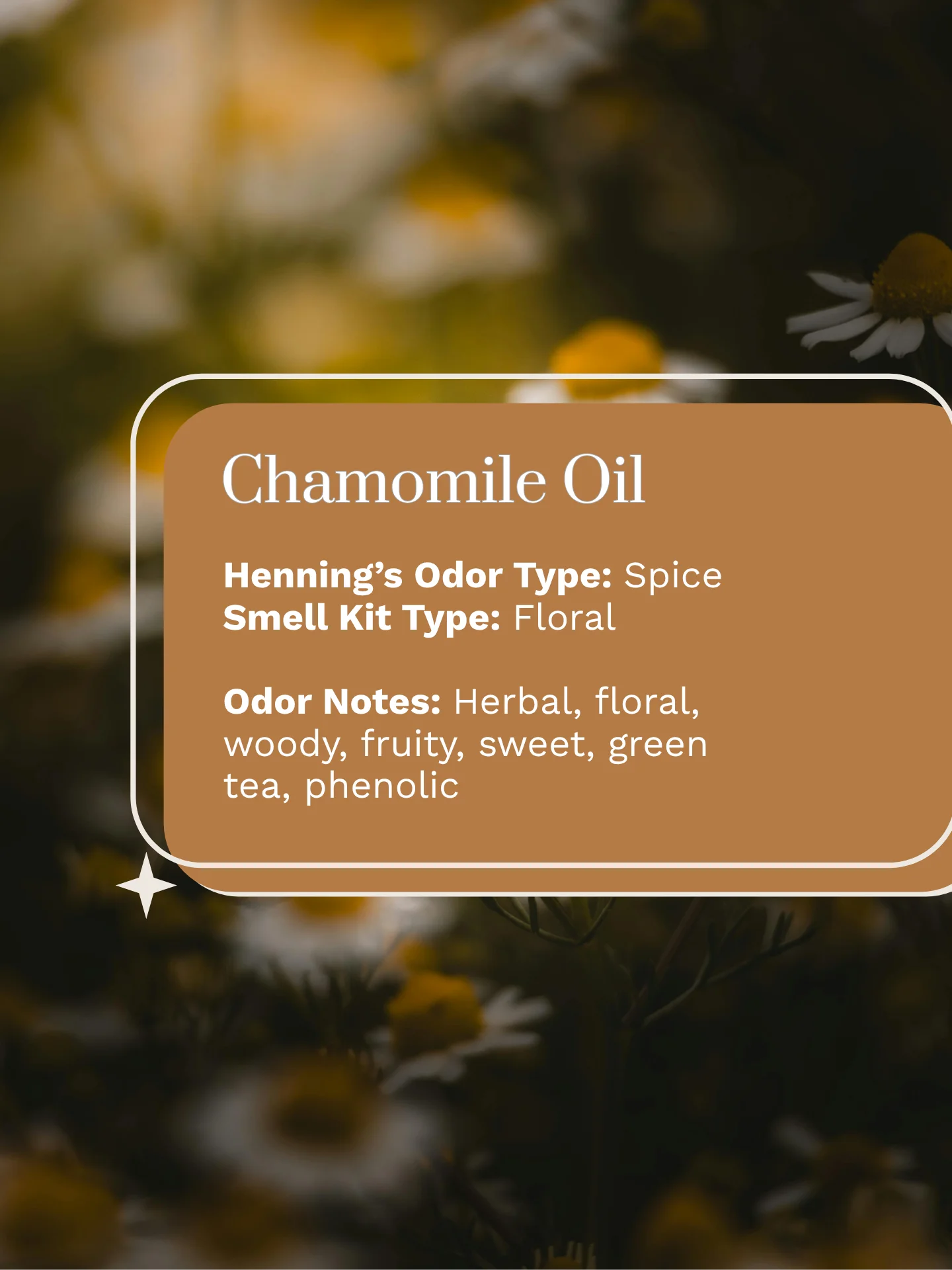 Olfaria Smell Training Kit | Set 5 | 5 Single-Note Essential Oils | Olfactory Training / Smell Loss product image (5)